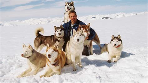 8 below fotos|Eight Below Wallpapers